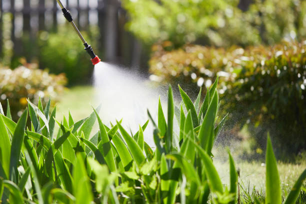 Tamper-Resistant Bait Stations for Rodents in Campbellsville