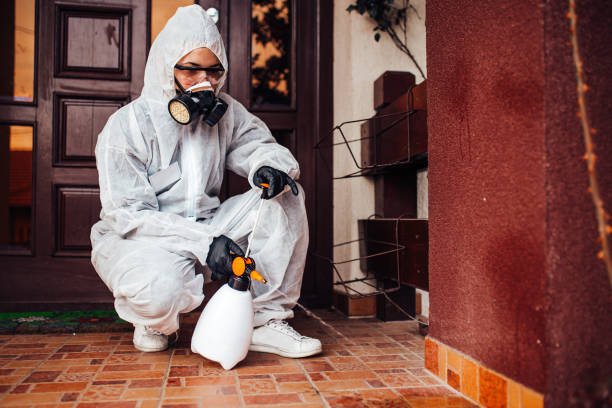 Attic and Crawl Space Rodent Treatment in Campbellsville