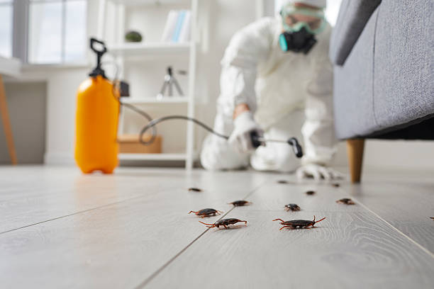 Commercial Rodent Management in Campbellsville